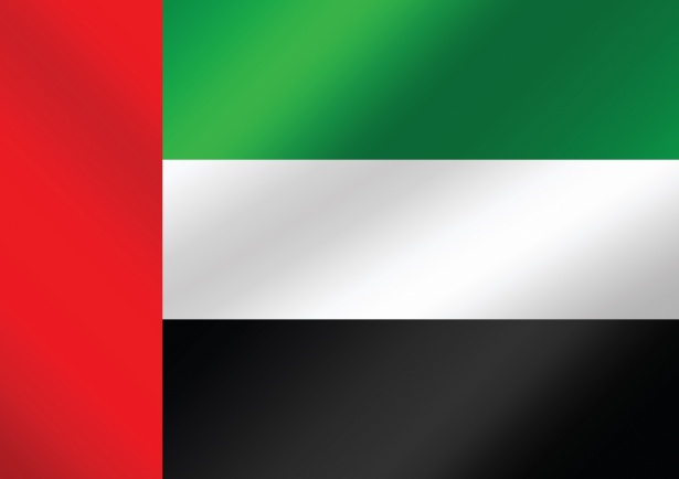 https://coredoadvisory.website/wp-content/uploads/2025/06/the-united-arab-emirates-flag-themes-1588673796kap.jpg